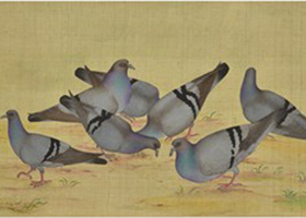 TITLE: PAINTINGS OF BIRDS, ARTIST: RAMESH KUMAR, SIZE: 33'' X 20'', MEDIUM: WATERCOLOUR ON SILK
