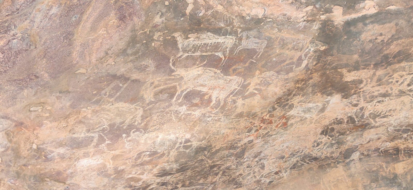 002f984c-1597-401e-b111-a020d6da24da