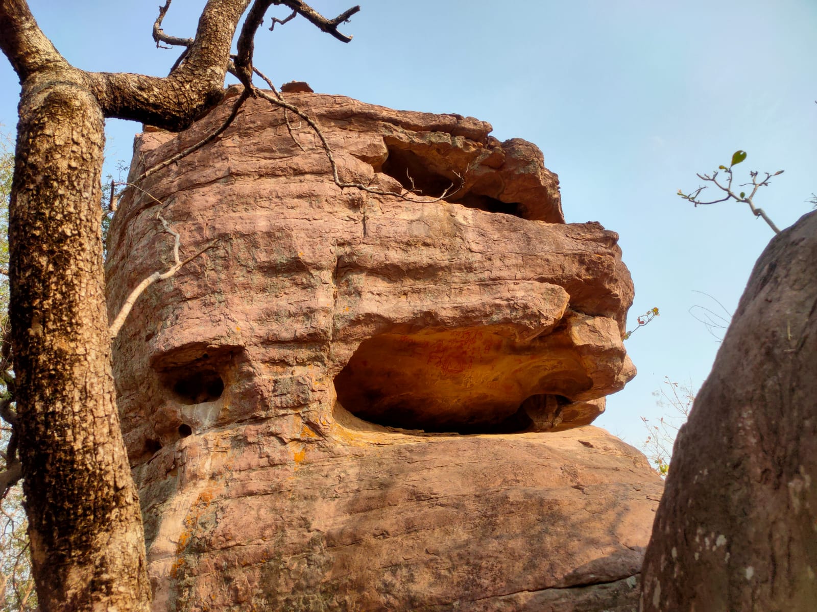 299d3a19-3c15-4b0c-8924-c50be41fde47