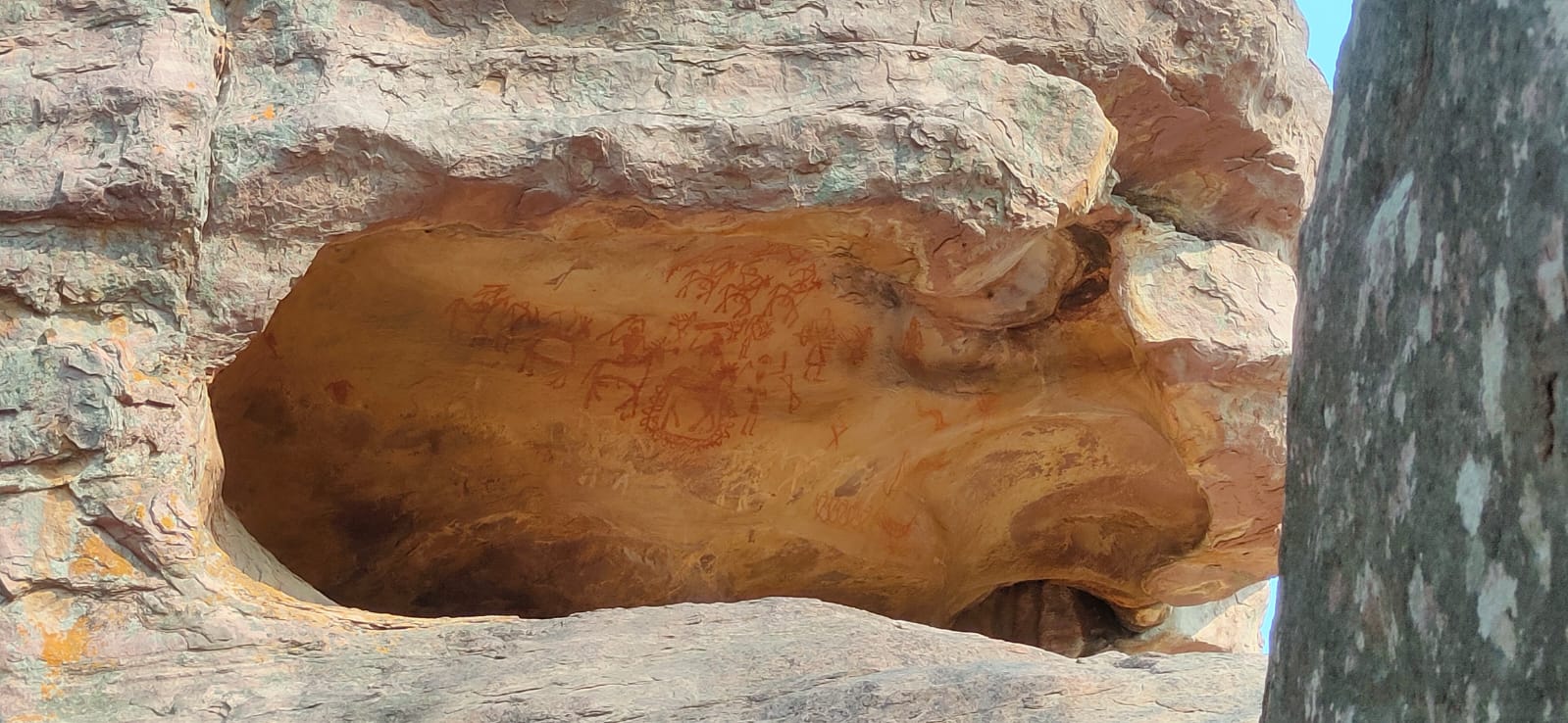 597d1e08-ff2f-47d2-a282-3e1a56596d90